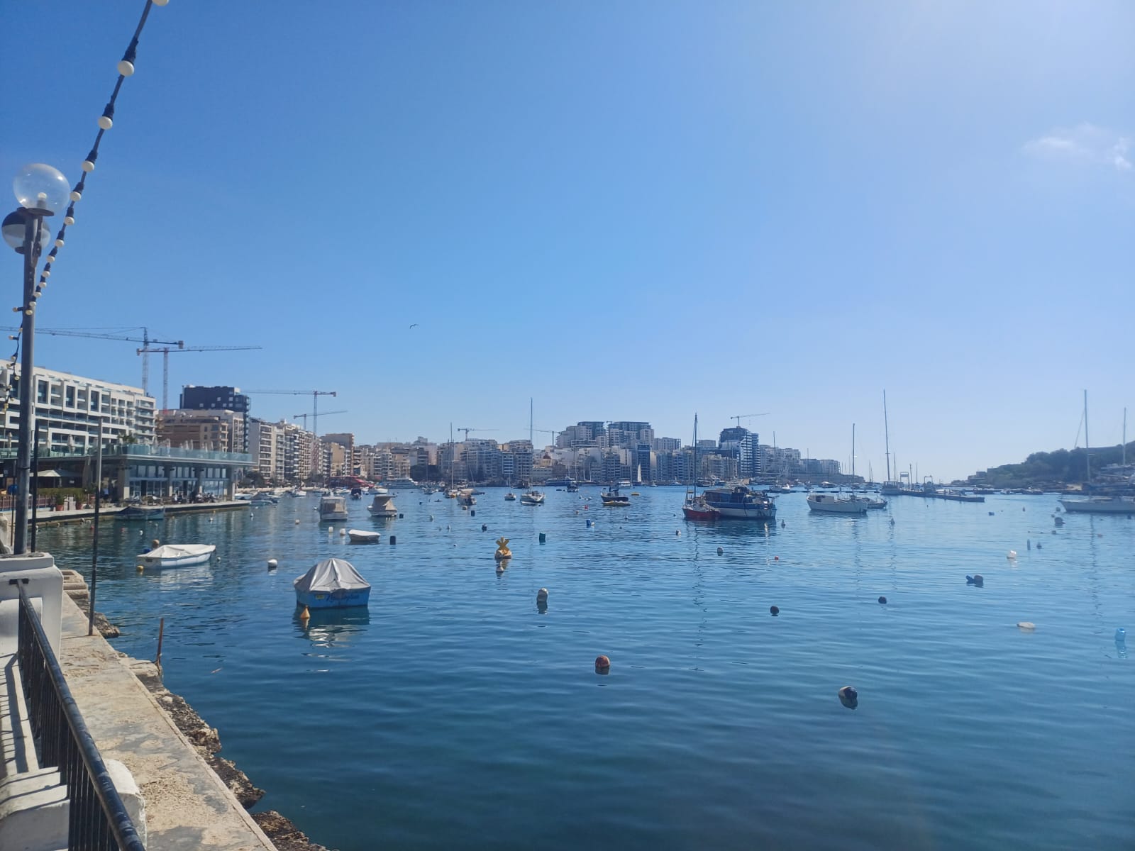 Foto de la galería del Internacional de Cartagena